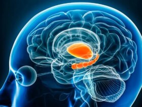 یک قند کوچک در مغز ، کلید مبارزه با افسردگی