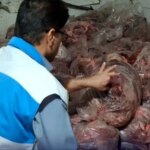 1500 کیلوگرم گوشت مخلوط اسب و گاو در این شهرستان جنوبی کشف و ضبط شد