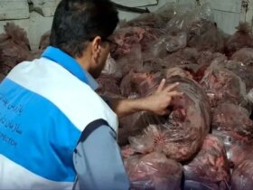 1500 کیلوگرم گوشت مخلوط اسب و گاو در این شهرستان جنوبی کشف و ضبط شد
