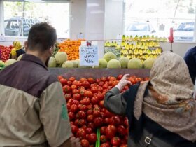 حالا نوبت قیمت گوجه فرنگی است 9 حالا نوبت قیمت گوجه فرنگی است