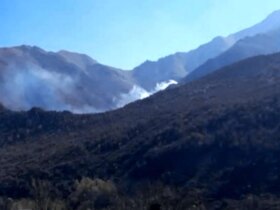 آتش سوزی در جنگل های نفوذ ناپذیر چالوس