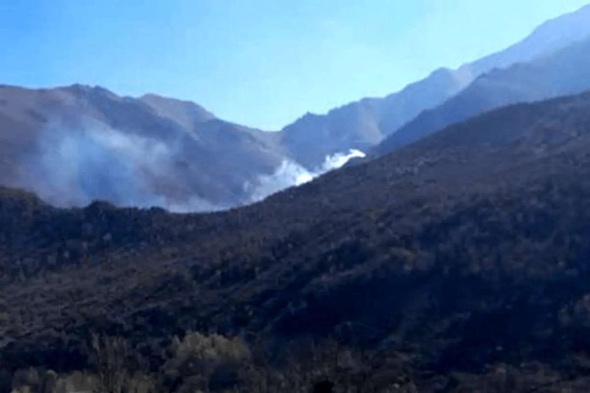 آتش سوزی در جنگل های نفوذ ناپذیر چالوس