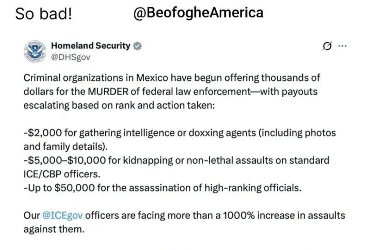 ادعای ترامپ: کارتل های مکزیکی به دنبال آدرس منزل مقامات مهاجرتی آمریکا هستند 23 00