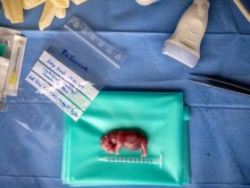 تصاویر علمی