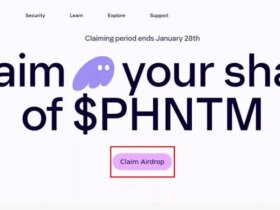 نمونه ای از درخواست برای اتصال کیف پول به یک پلت فرم کلاهبرداری