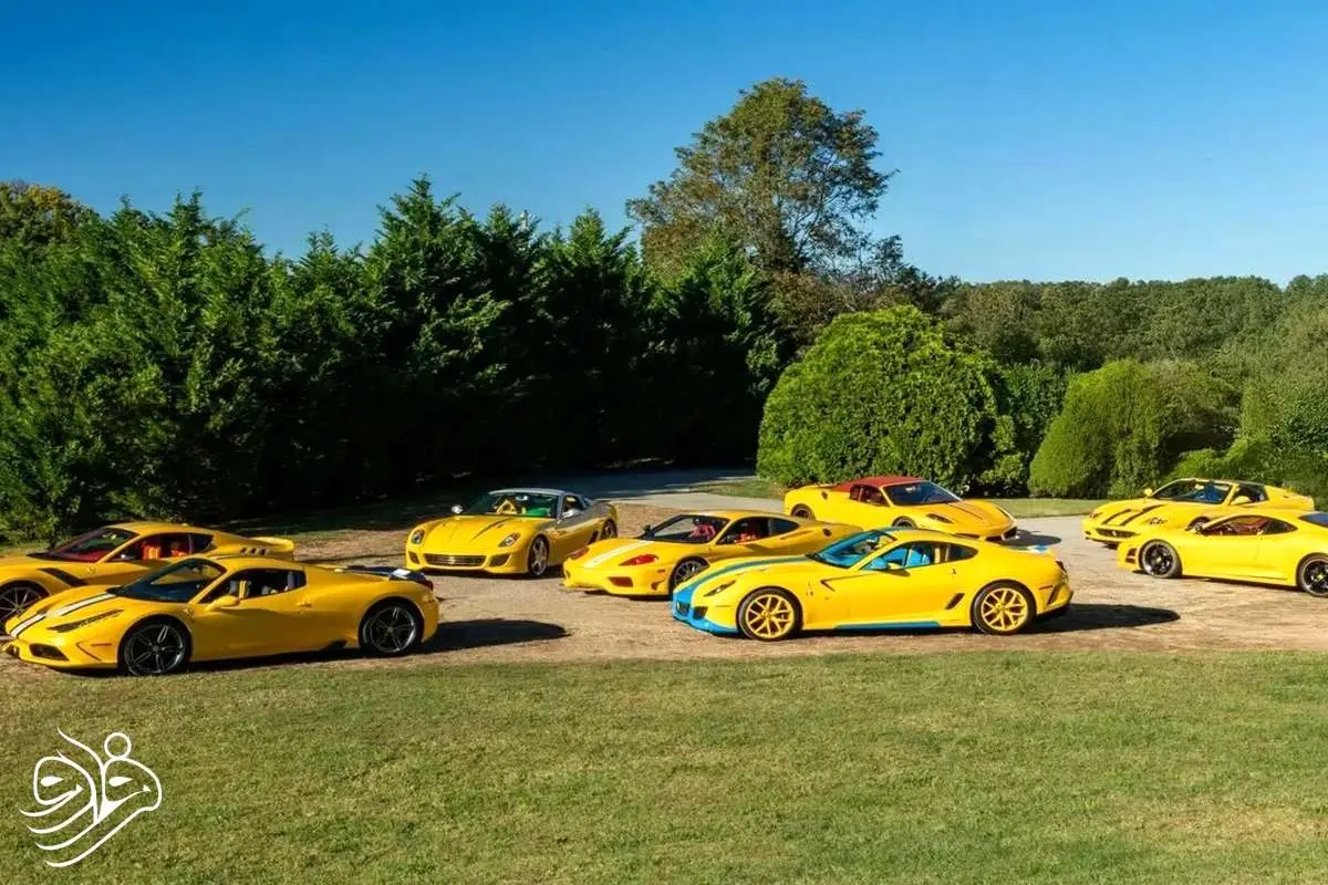 مردی که فراری 48 افسانه ای خود را به حراج گذاشت!