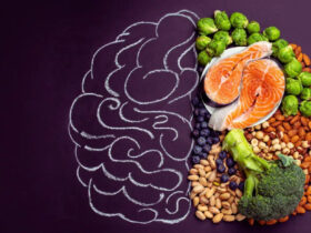 غذاهای مفید برای تقویت حافظه و تمرکز را بشناسید