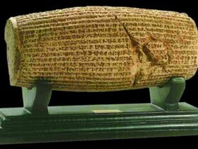 خبر خوش برای عاشقان کوروش 11 خبر خوش برای عاشقان کوروش