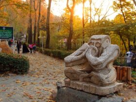 آخر هفته کجا برویم؟/ 7 مقصد جذاب تهران گردی پاییزی; از باغ های تاریخی گرفته تا طبیعت رنگارنگ