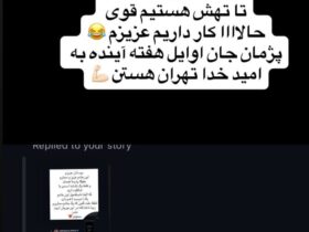 پژمان جمشیدی به تهران بازگشت 11 پژمان جمشیدی به تهران بازگشت