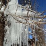 هشدار یخبندان و هشدار هلال احمر در مناطق سردسیر کشور