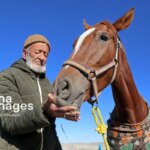 تصاویر; دوره سوارکاری روستای باغلیک