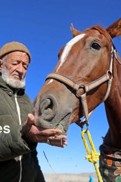 تصاویر; دوره سوارکاری روستای باغلیک 2 تصاویر; دوره سوارکاری روستای باغلیک