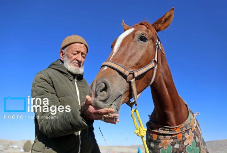 تصاویر; دوره سوارکاری روستای باغلیک 19 تصاویر; دوره سوارکاری روستای باغلیک