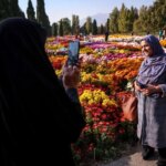 تصاویر; جشنواره گل داودی