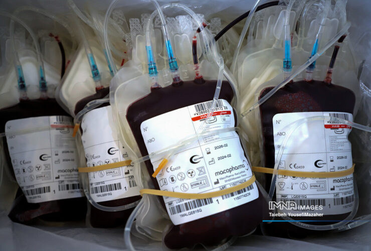 بیشترین افزایش آمار اهدای خون در سیستان و بلوچستان، زنجان و فارس در 7 ماه گذشته ثبت شده است.