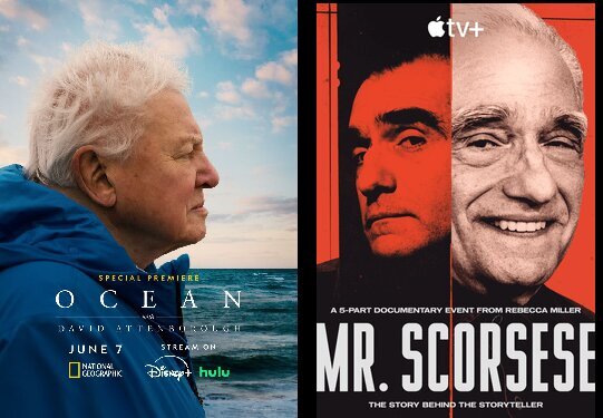 از برندگان این جایزه می توان به «آقای اسکورسیزی» و «دیوید آتنبرو» اشاره کرد.