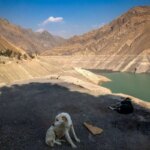 تصاویر; وضعیت سد کرج