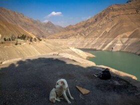 تصاویر; وضعیت سد کرج