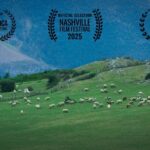 «گوسفندان» ایران راهی انگلیس می شوند