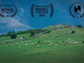 «گوسفندان» ایران راهی انگلیس می شوند