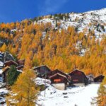 تصاویر; شکوه رنگ های پاییزی در سراسر جهان