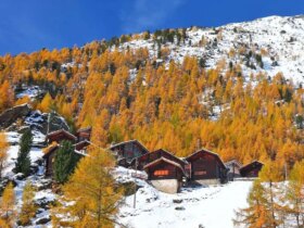 تصاویر; شکوه رنگ های پاییزی در سراسر جهان