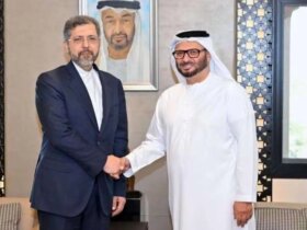 دیدار معاون وزیر امور خارجه ایران و مشاور دیپلماتیک رئیس جمهور امارات