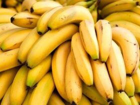 ما ممنوعیت واردات موز را رد می کنیم