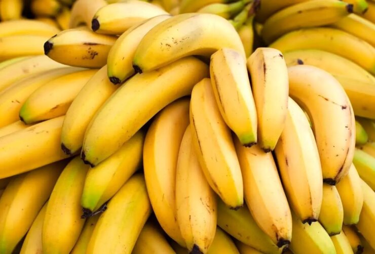 ما ممنوعیت واردات موز را رد می کنیم