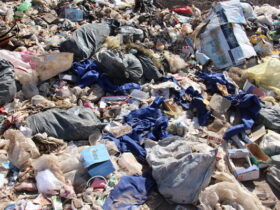 معاون وزیر بهداشت: عفونت های بیمارستانی عوارض جدی دارد 8 معاون وزیر بهداشت: عفونت های بیمارستانی عوارض جدی دارد