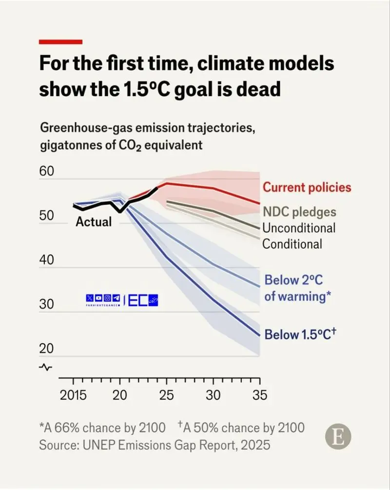 photo_2025-11-14_17-54-32