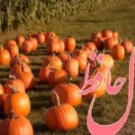 فال حافظ روزانه شنبه ۲۴ آبان ؛ روزهای پرنعمت و پرنور، خیلی نزدیک‌تر از حد تصوره؛ فقط کافیه کلید رو بچرخونی!