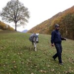 تصاویر; طبیعت پاییزی روستای نمانق