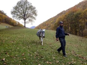 تصاویر; طبیعت پاییزی روستای نمانق 8 تصاویر; طبیعت پاییزی روستای نمانق