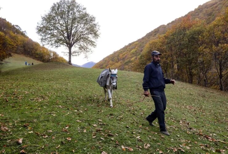 تصاویر; طبیعت پاییزی روستای نمانق 40 تصاویر; طبیعت پاییزی روستای نمانق
