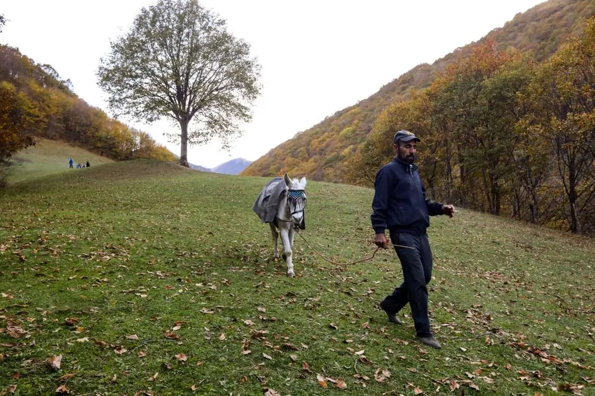 تصاویر; طبیعت پاییزی روستای نمانق 1 تصاویر; طبیعت پاییزی روستای نمانق