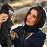 4 فیلم آماده نمایش و یک فیلم در مرحله پیش تولید؛ نمایش خطی در اولویت است