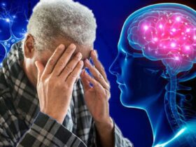 کمبود کدام مواد مغذی باعث پیری سریعتر مغز می شود؟ 8 کمبود کدام مواد مغذی باعث پیری سریعتر مغز می شود؟