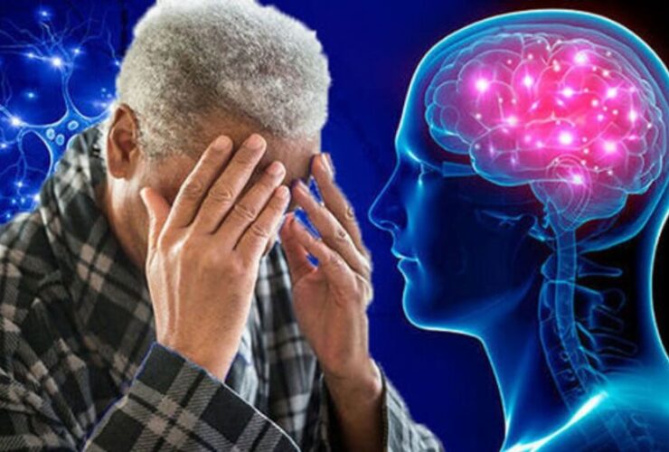 کمبود کدام مواد مغذی باعث پیری سریعتر مغز می شود؟ 19 کمبود کدام مواد مغذی باعث پیری سریعتر مغز می شود؟