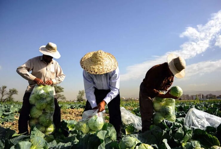 حراج آب بیخگوش در تهران 19 حراج آب بیخگوش در تهران