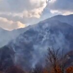 وضعیت قرمز در جنگل های نخبگان؛ آتش به پیشروی خود ادامه می دهد