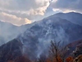 وضعیت قرمز در جنگل های نخبگان؛ آتش به پیشروی خود ادامه می دهد