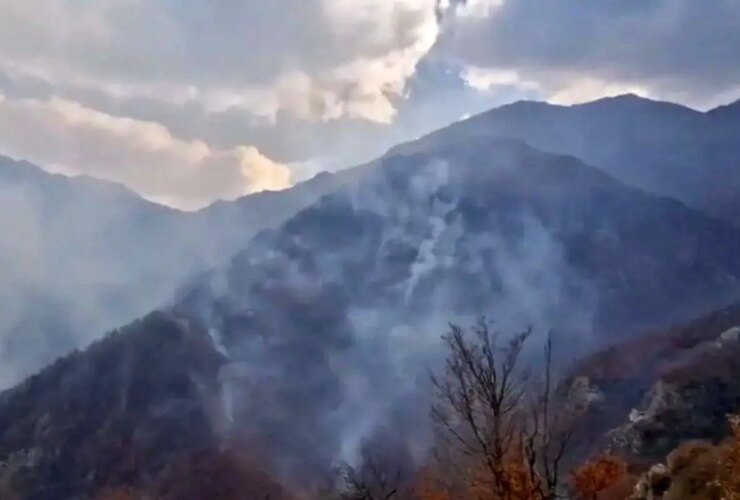 وضعیت قرمز در جنگل های نخبگان؛ آتش به پیشروی خود ادامه می دهد 32 وضعیت قرمز در جنگل های نخبگان؛ آتش به پیشروی خود ادامه می دهد