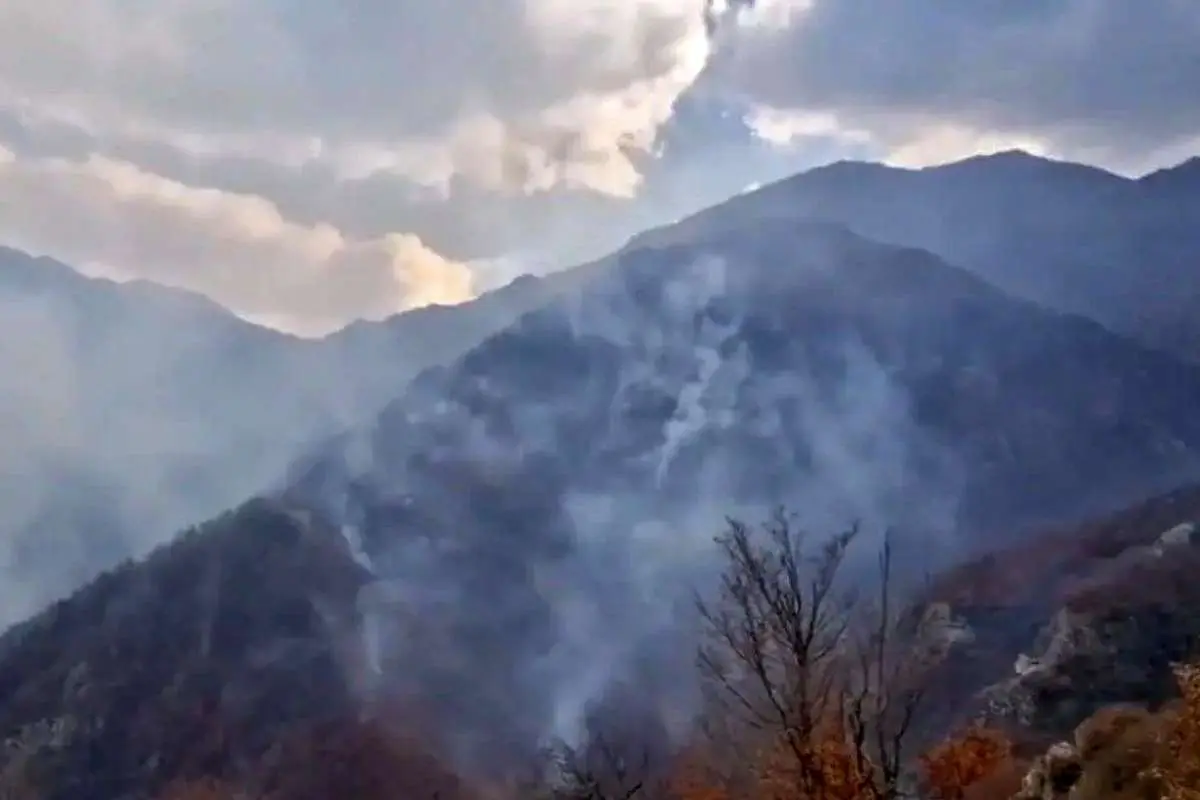 وضعیت قرمز در جنگل های نخبگان؛ آتش به پیشروی خود ادامه می دهد 1 وضعیت قرمز در جنگل های نخبگان؛ آتش به پیشروی خود ادامه می دهد