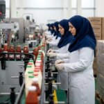 کارخانه خط تولید سس