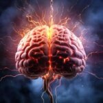 5 علامت هشدار دهنده پیری زودرس مغز