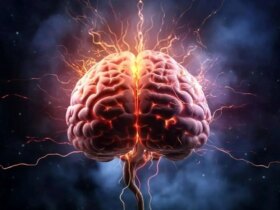 5 علامت هشدار دهنده پیری زودرس مغز