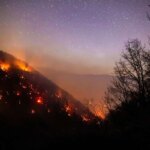 تصاویر; نخبگان آتش نشانی جنگل