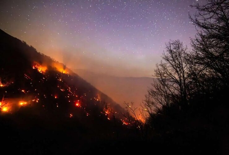 تصاویر; نخبگان آتش نشانی جنگل